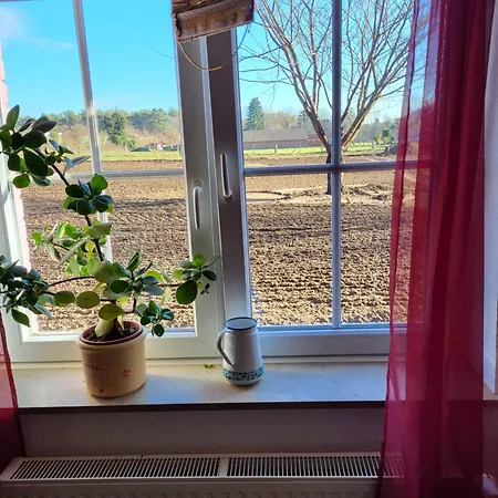 Waldrand Am Niederrhein Holtwick *