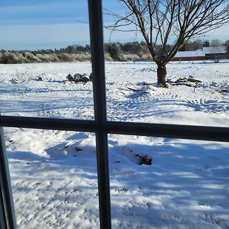 Waldrand Am Niederrhein Holtwick *