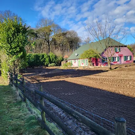 Waldrand Am Niederrhein Holtwick Apartmán