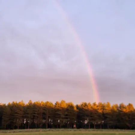 Lejlighed Waldrand Am Niederrhein Holtwick Issum