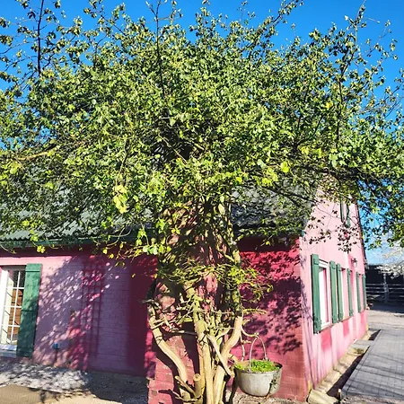 Waldrand Am Niederrhein Holtwick Apartmán