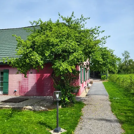 Waldrand Am Niederrhein Holtwick *