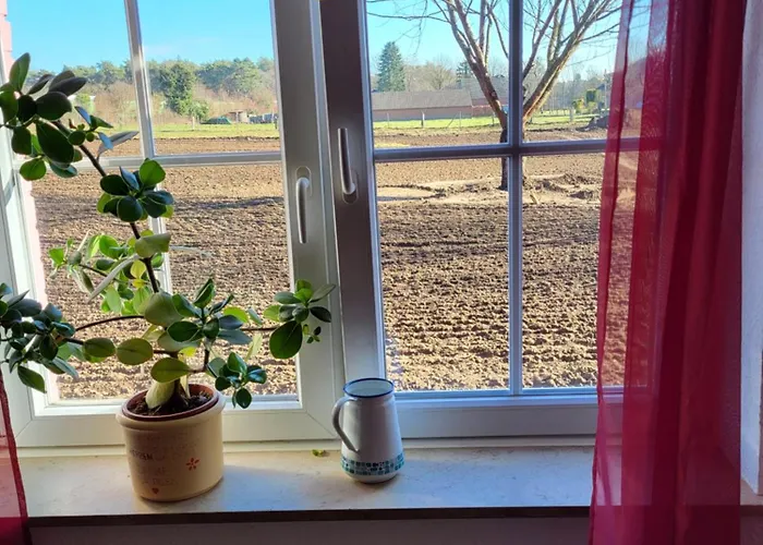 Waldrand Am Niederrhein Holtwick *