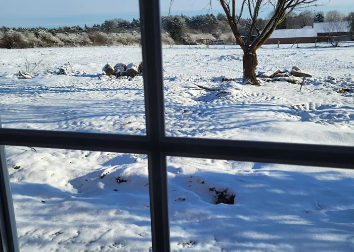 Waldrand Am Niederrhein Holtwick *