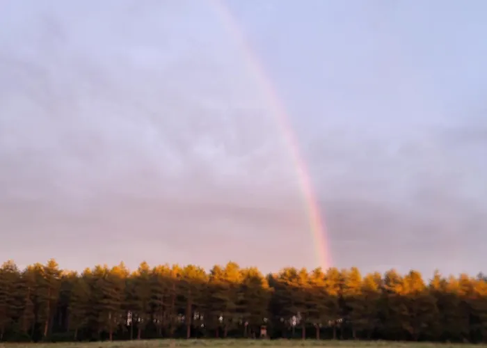 Apartmán Waldrand Am Niederrhein Holtwick Issum
