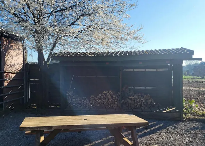 Waldrand Am Niederrhein Holtwick * Issum