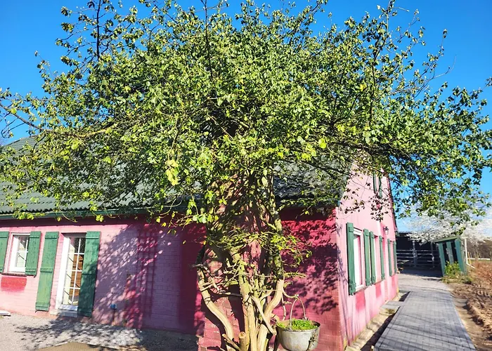 Waldrand Am Niederrhein Holtwick Apartmán