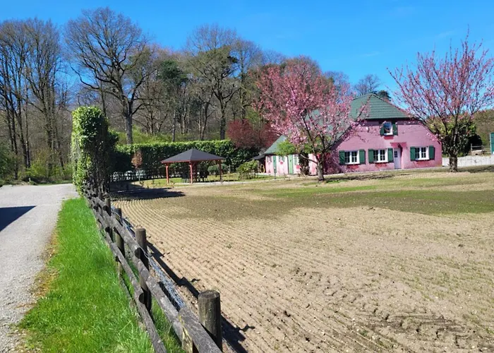 Waldrand Am Niederrhein Holtwick Apartmán Issum